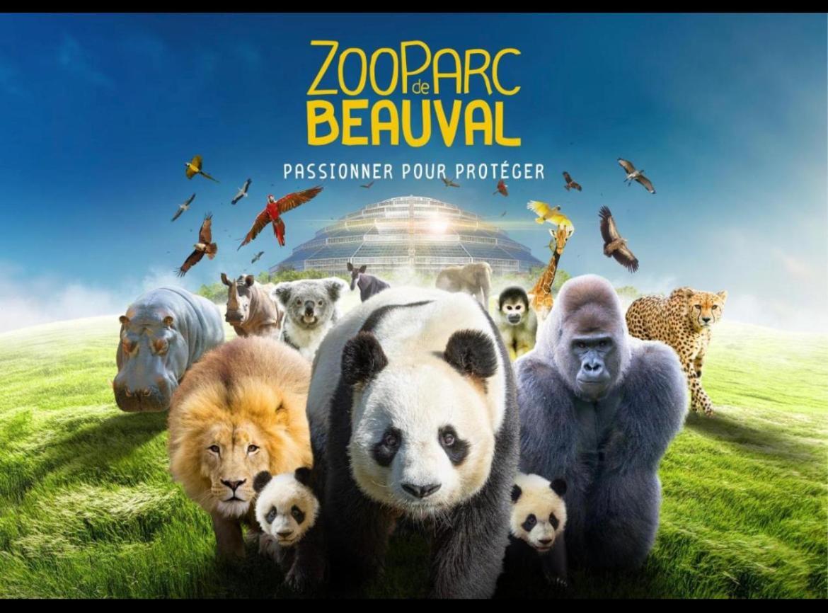 Gite Souai Et Zen , 5 Mn Du Zooparc De Beauval Сент-Еньян Екстер'єр фото